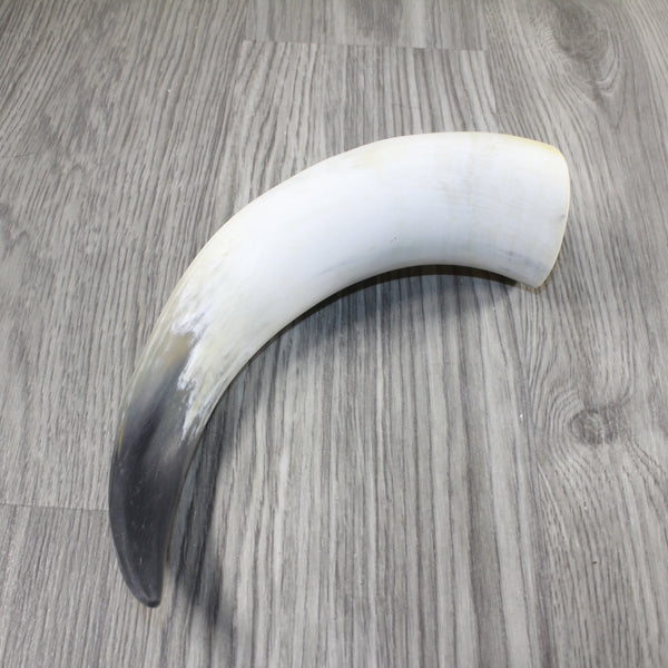 1 Raw Unfinished Cow Horn #3444 Natural Colored