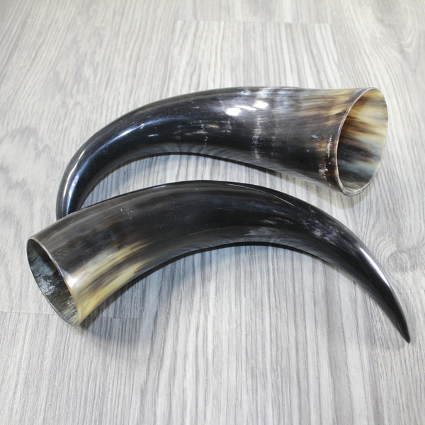 2 Polished Cow Horns #6944 Natural colored