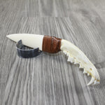Coyote Jaw Handle Bone Blade Ornamental Knife #1044 Mountain Man Knife