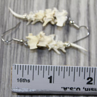 Rattlesnake Fangs Plus Vertebrae Earrings  #0144  Mountain Man Earrings