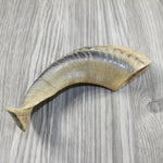 1 Sheep Horn  #5544 Natural Colored Polished Ram Horn