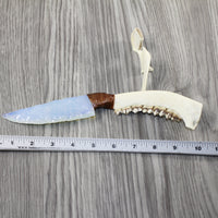 Deer Jaw Handle Opalite Blade Ornamental Knife #8544 Mountain Man Knife