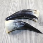 2 Small Polished Cow Horns #8944 Natural colored