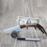 Turkey Foot Handle Opalite Blade Ornamental Knife #1244 Mountain Man Knife