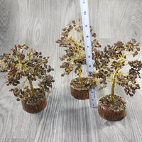 3 Medium Tiger Eye Chip Trees About 9 Inches Tall #3444