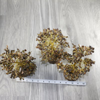 3 Medium Tiger Eye Chip Trees About 9 Inches Tall #3444