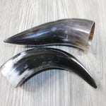 2 Polished Cow Horns #8245 Natural colored
