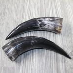 2 Polished Cow Horns #0045 Natural colored