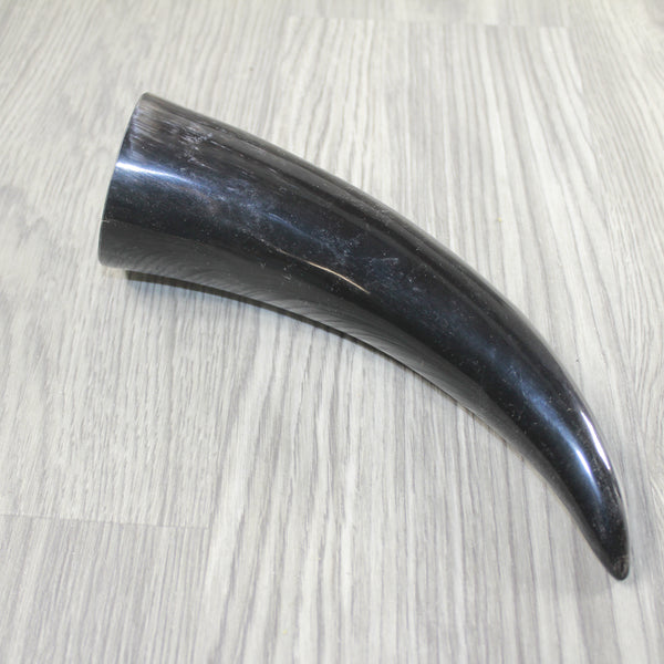 1 Polished Cow Horn #2145 Natural Colored