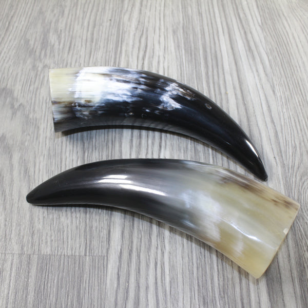 2 Polished Cow Horns #7145 Natural colored