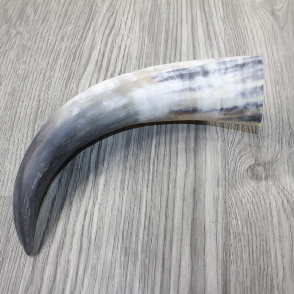 1 Raw Unfinished Cow Horn #2345 Natural Colored