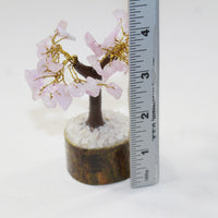 1 Small Rose Quartz Gemstone Chip Tree 3-4 Inch #8422