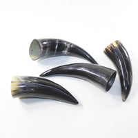 4 Small Polished Cow Horns #8924 Natural colored