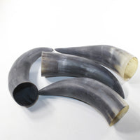 4 Raw Unfinished Cow Horns #1320 Natural Colored