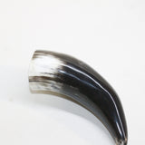 1 Polished Cow Horn Tip #3610 Natural Colored