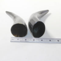 2 Polished Cow Horns #9429 Natural colored