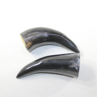 2 Small Polished Cow Horns #6424 Natural colored