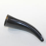 1 Small Polished Cow Horn #4124