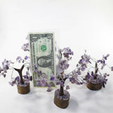5 Small Amethyst Gemstone Chip Trees 3-4 Inch #8420