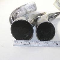 4 Small Polished Cow Horns #9928 Natural colored