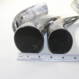 4 Small Polished Cow Horns #9928 Natural colored