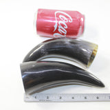 2 Small Polished Cow Horns #6424 Natural colored