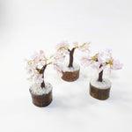 3 Small Rose Quartz Gemstone Chip Trees 3-4 Inch #8822