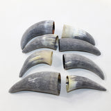 8 Raw Unfinished Cow Horn Tips #1624 Natural colored