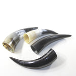 4 Small Polished Cow Horns #3333 Natural colored