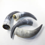 4 Raw Unfinished Cow Horns #3933 Natural Colored