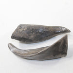 2 Small Polished Goat Horns #912N Natural Colored z