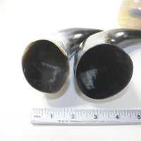 4 Polished Cow Horns #8329 Natural colored