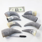 8 Raw Unfinished Cow Horn Tips #1624 Natural colored