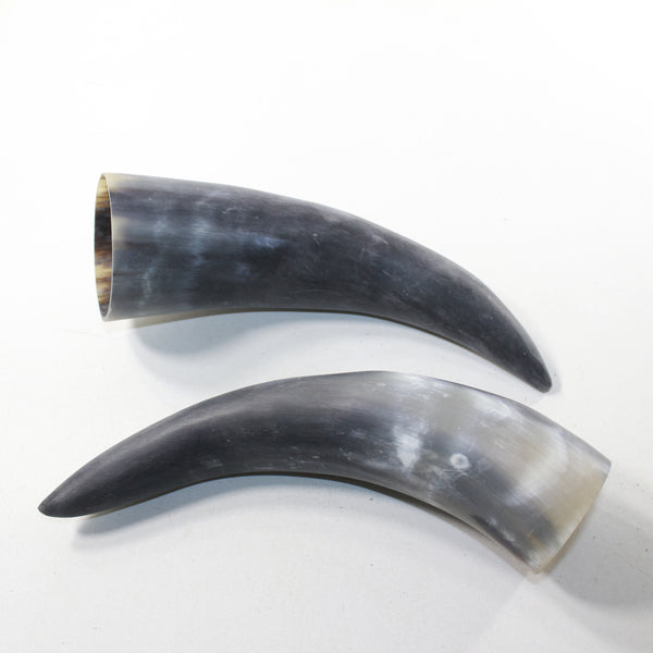 2 Raw Unfinished Cow Horns #0929 Natural Colored