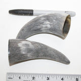 2 Raw Unfinished Cow Horn Tips #8814 Natural colored