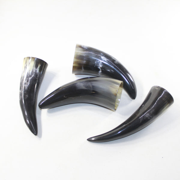 4 Small Polished Cow Horns #6524 Natural colored