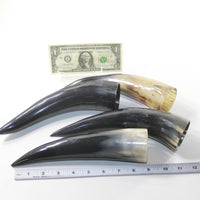 4 Polished Cow Horns #732n Natural colored