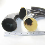 4 Polished Cow Horns #552n Natural colored