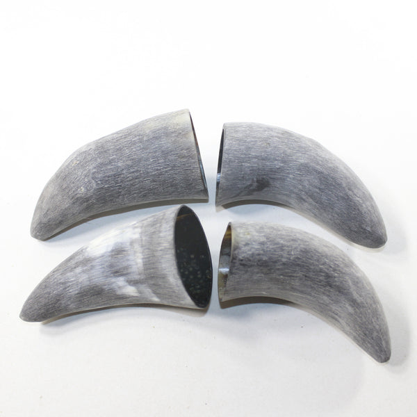 4 Raw Unfinished Cow Horn Tips #5929 Natural Colored