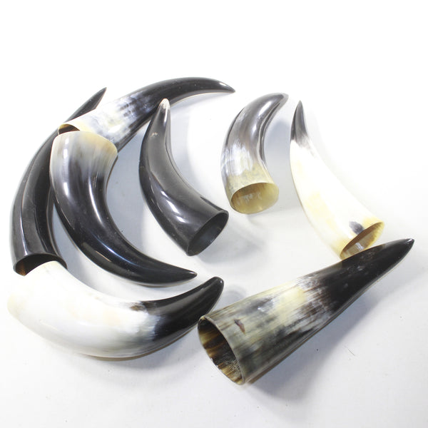 8 Small Polished Cow Horns #3133 Natural colored