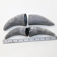 4 Raw Unfinished Cow Horn Tips #4225 Natural colored