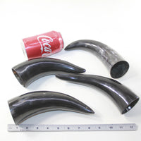 4 Small Polished Cow Horns #1923 Natural colored