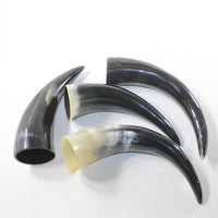 4 Polished Cow Horns #552n Natural colored