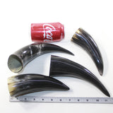 4 Small Polished Cow Horns #8924 Natural colored