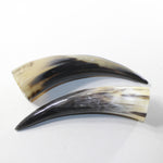 2 Polished Cow Horns #5334 Natural colored