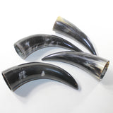 4 Small Polished Cow Horns #4720 Natural colored