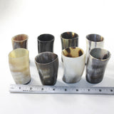 8 Horn Shot Glasses #6531 Natural Colored