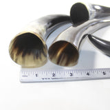 4 Polished Cow Horns #2733 Natural colored