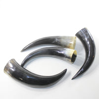 4 Polished Cow Horns #302d Natural colored