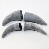 4 Raw Unfinished Cow Horn Tips #4225 Natural colored